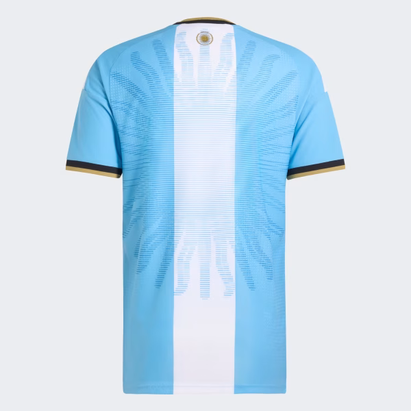 Argentina_Messi_26_Authentic_Jersey_Blue_LD3315_02_laydown_hover